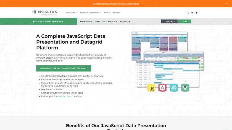 Homepage of DataViewsJS