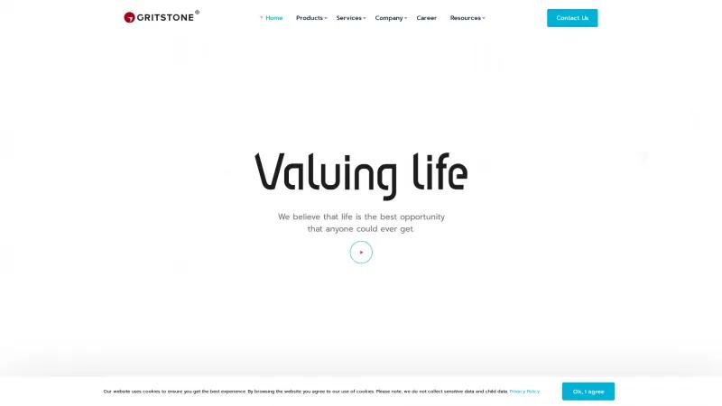 Homepage of Repetor