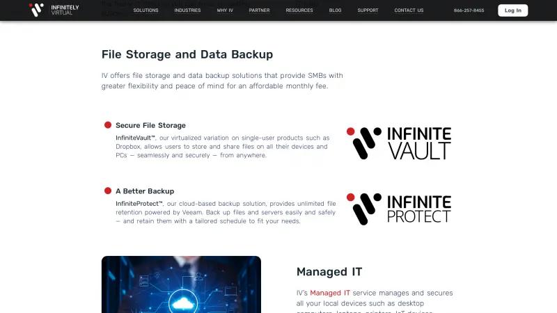 Homepage of InfiniteVault