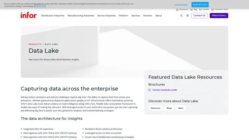 Homepage of Infor Data Lake