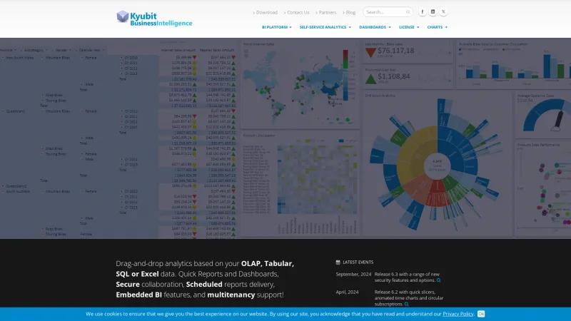 Homepage of Kyubit Business Intelligence