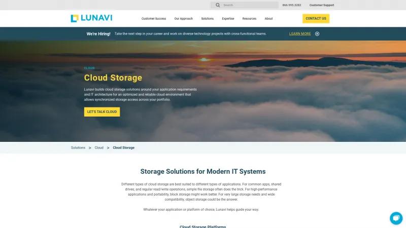 Homepage of Lunavi