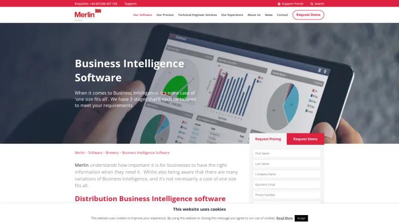 Homepage of Merlin Business Intelligence