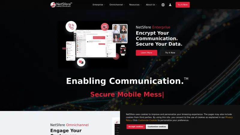 Homepage of NetSfere