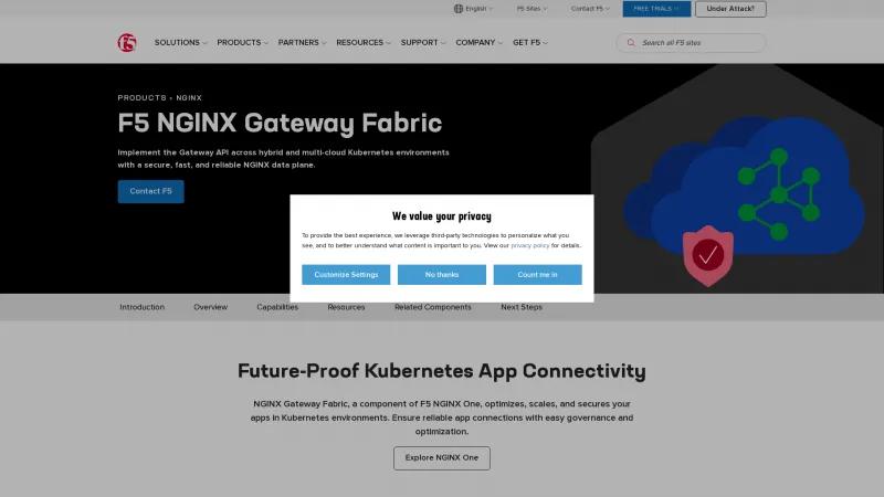 Homepage of F5 NGINX Service Mesh