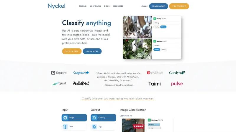 Homepage of Nyckel