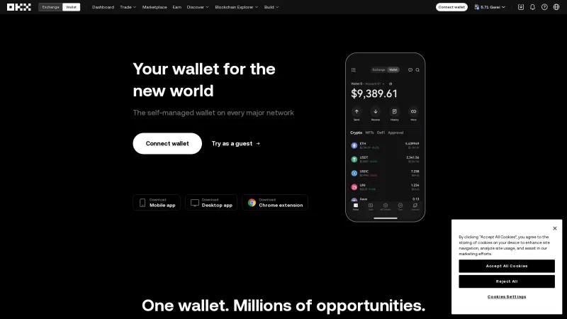 Homepage of OKX Wallet