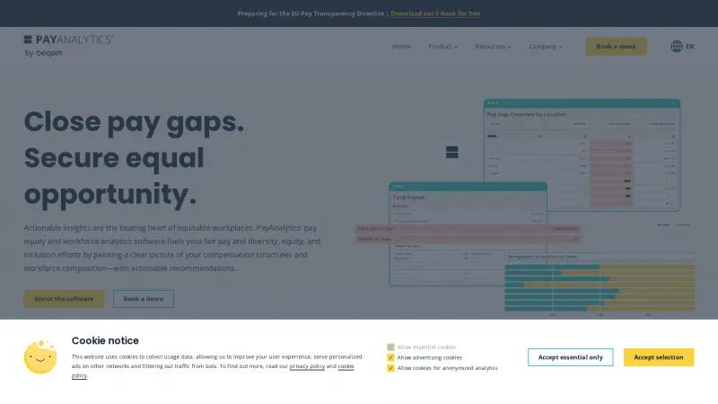 Homepage of PayAnalytics