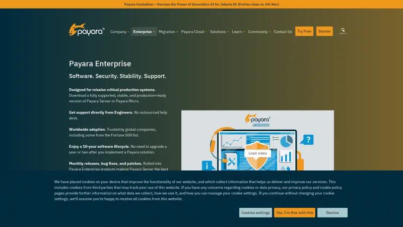 Homepage of Payara Enterprise