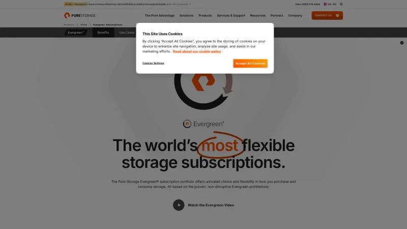 Homepage of Evergreen Storage