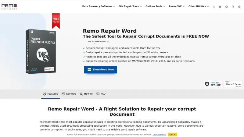 Homepage of Remo Repair Word