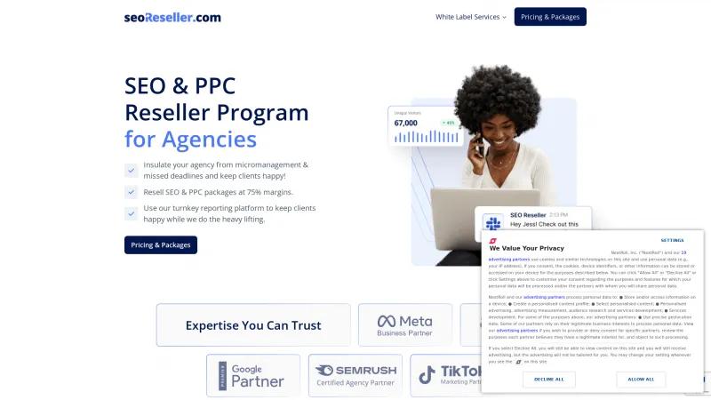 Homepage of SEOReseller