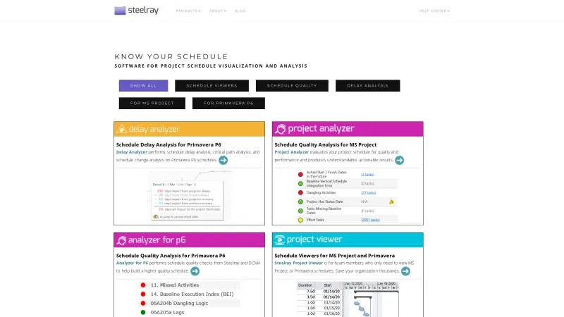 Homepage of Steelray Project Analizer
