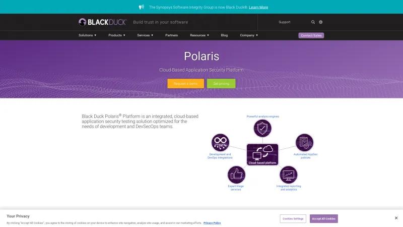 Homepage of Polaris Software Integrity Platform