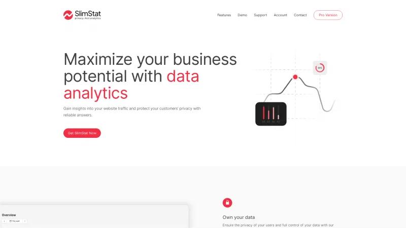 Homepage of Slimstat Analytics