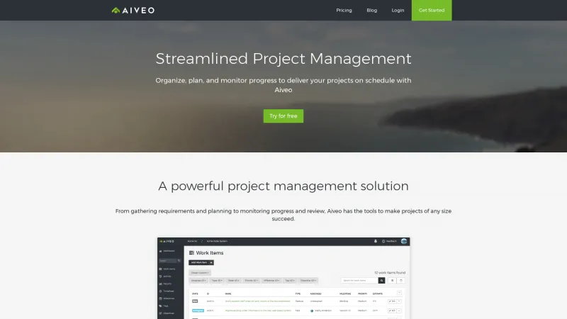 Homepage of Aiveo