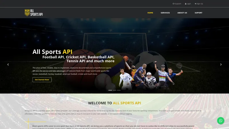 Homepage of All Sports API