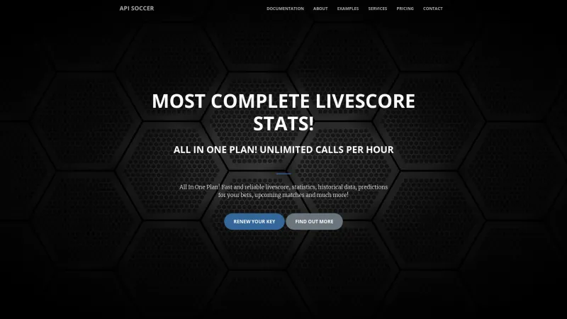 Homepage of API SOCCER