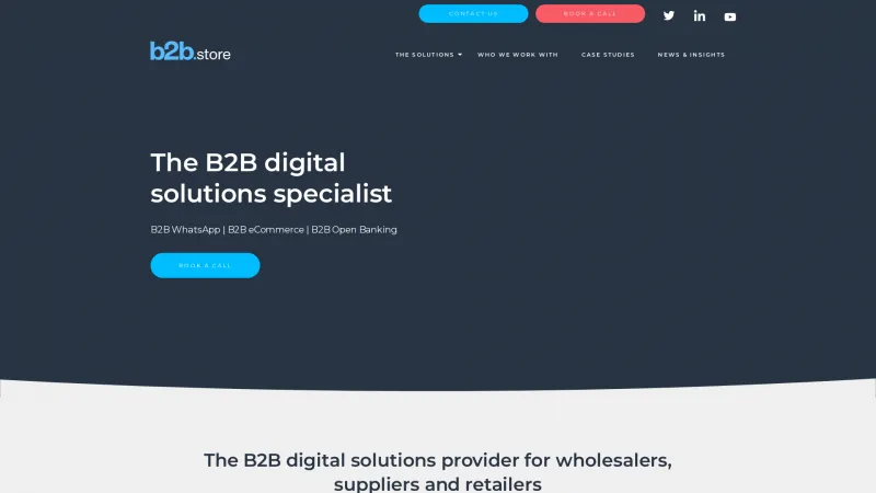 Homepage of b2b.store