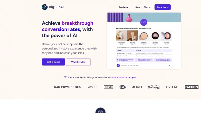 Homepage of Big Sur AI