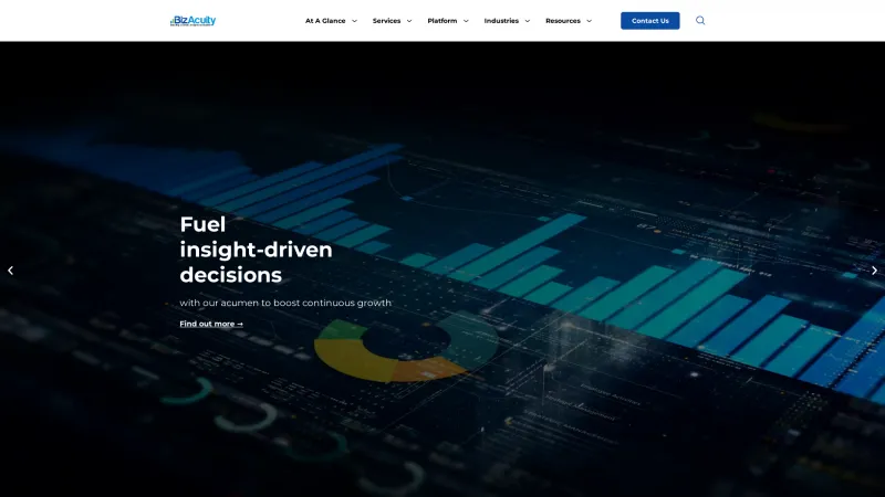 Homepage of BizAcuity