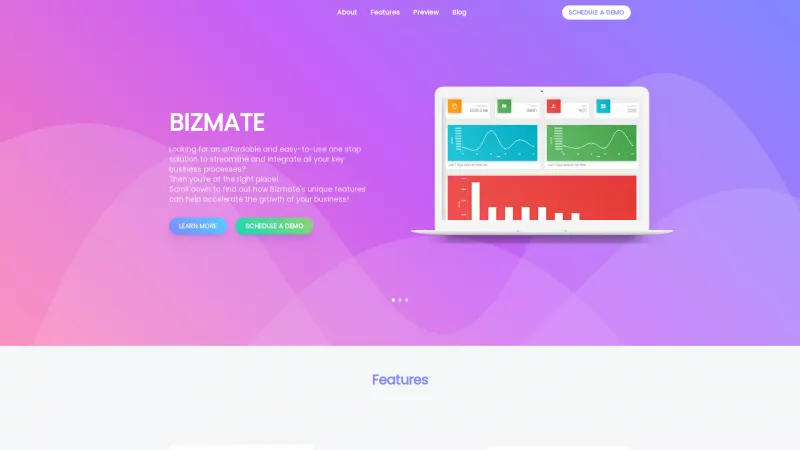 Homepage of Bizmate