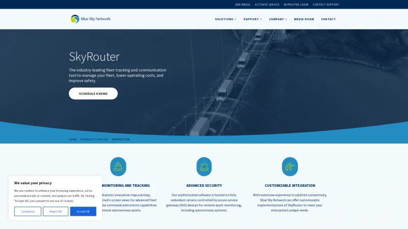 Homepage of SkyRouter