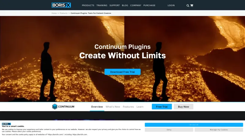 Homepage of Boris Continuum