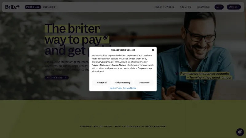 Homepage of Brite Payments