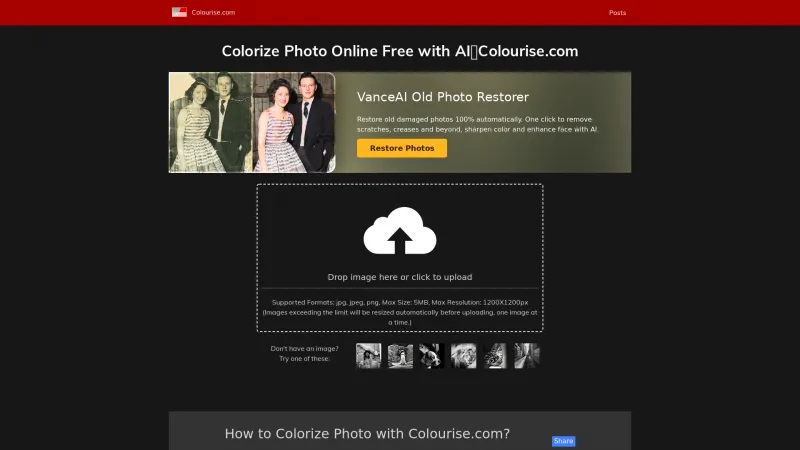 Homepage of Colourise.com