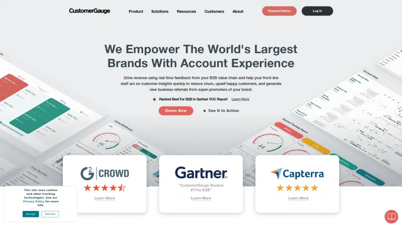 Homepage of CustomerGauge