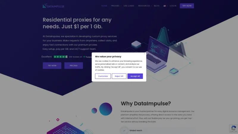 Homepage of DataImpulse