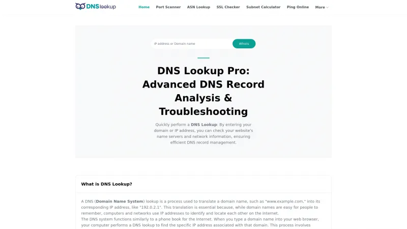 Homepage of DNS Lookup