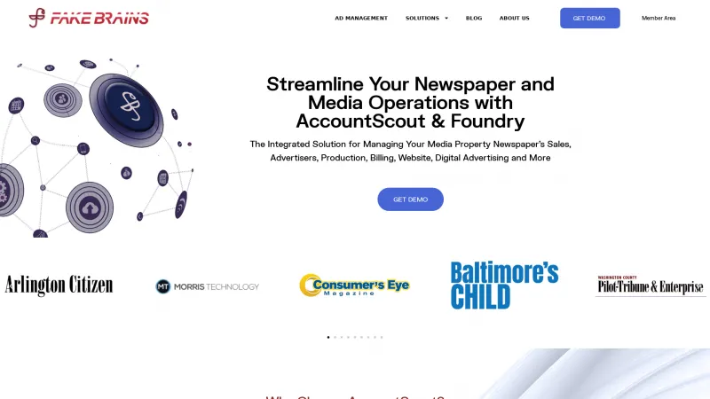 Homepage of AccountScout