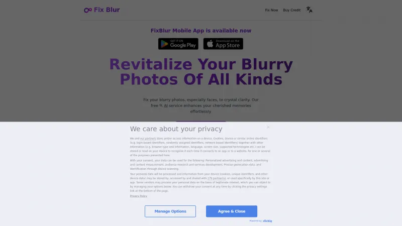 Homepage of Fix Blur