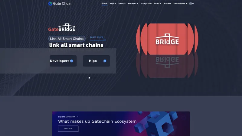 Homepage of GateChain