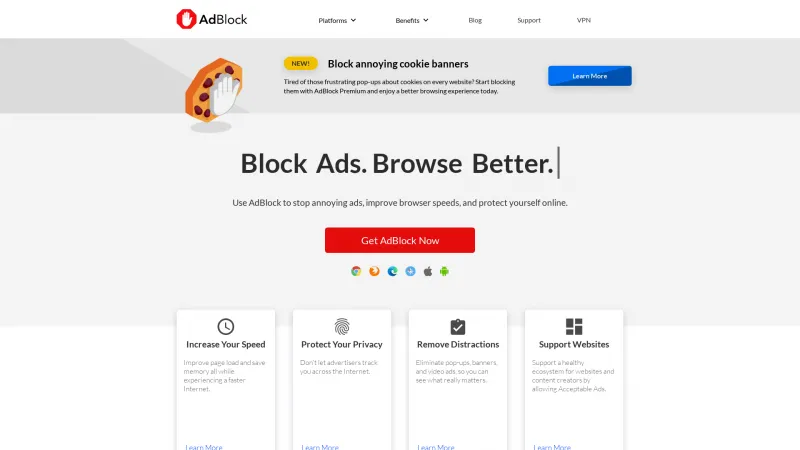 Homepage of AdBlock