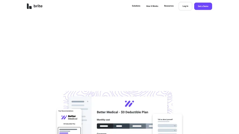 Homepage of Brite