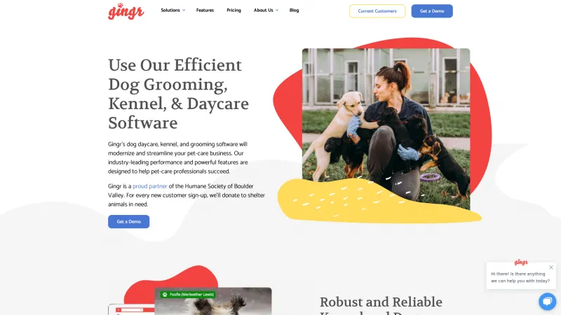 Homepage of Gingr