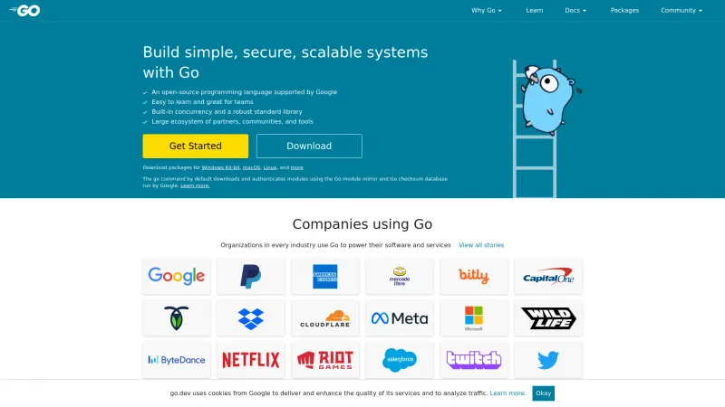 Homepage of Go