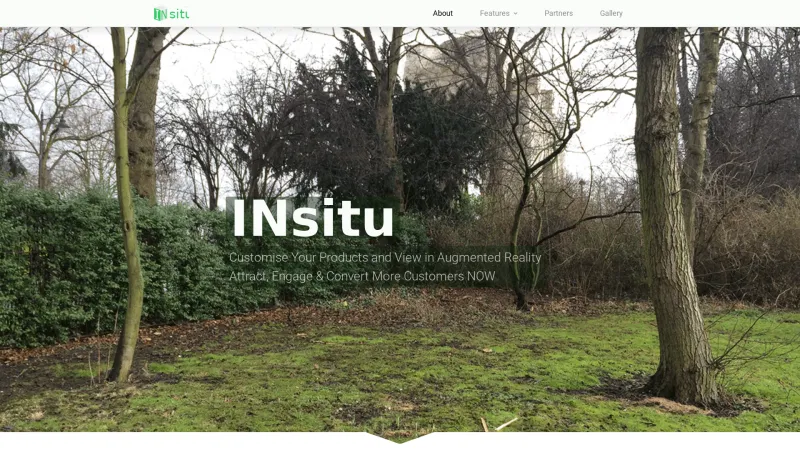 Homepage of INsitu