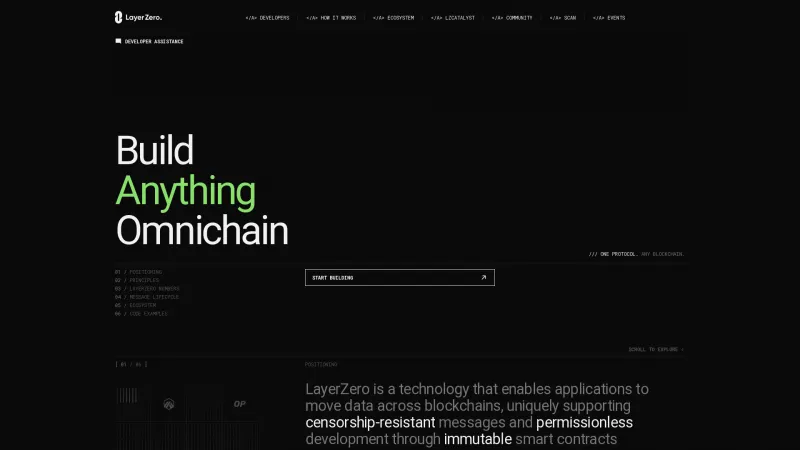 Homepage of LayerZero