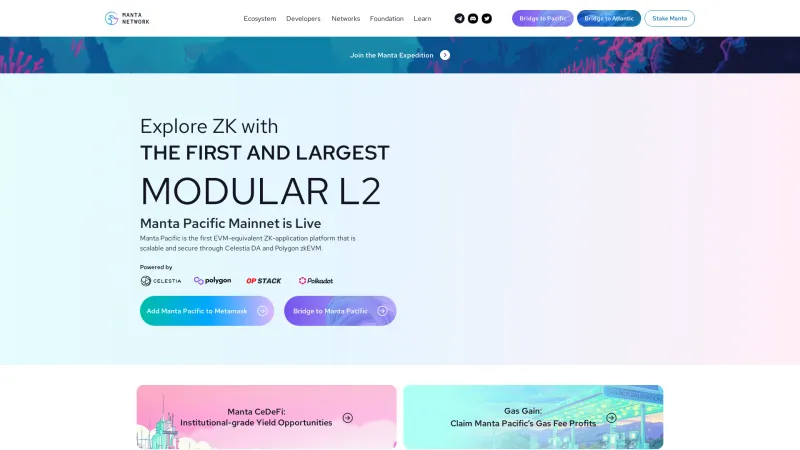 Homepage of Manta Network