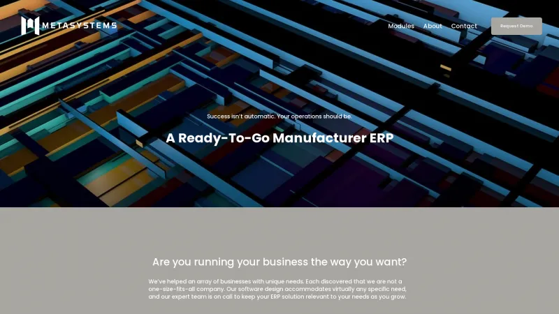 Homepage of Metasystems ERP