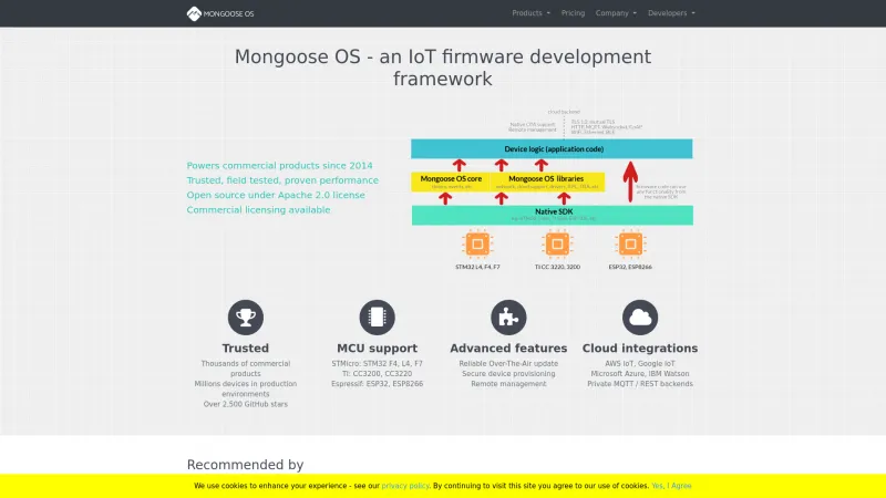 Homepage of Mongoose OS