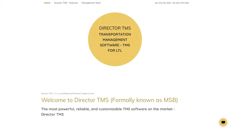 Homepage of MSB TMS