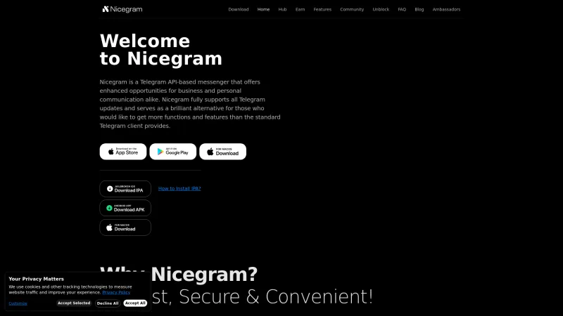 Homepage of Nicegram