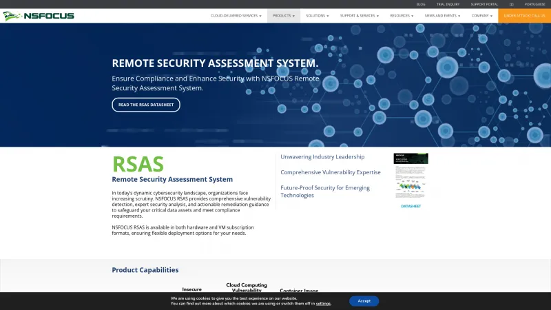 Homepage of NSFOCUS RSAS