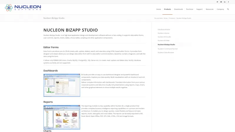 Homepage of Nucleon BizApp Studio