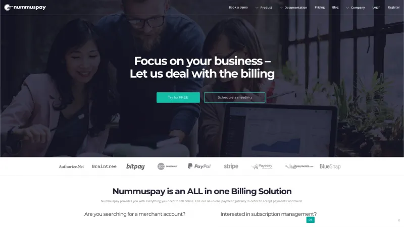 Homepage of Nummuspay